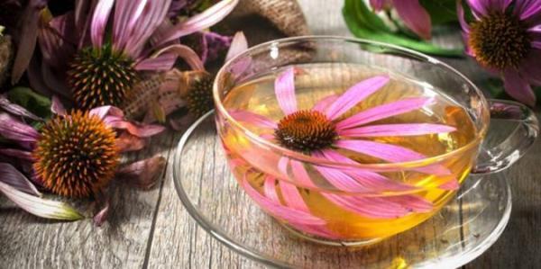 سرخار گل چه خواصی دارد؟ سرخار گل چه خواصی دارد؟