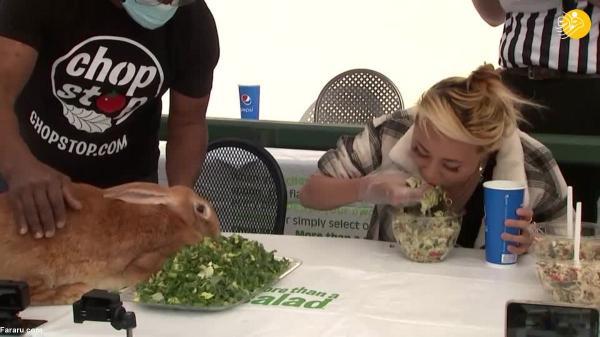 مسابقه سالادخوری یک زن با خرگوش!