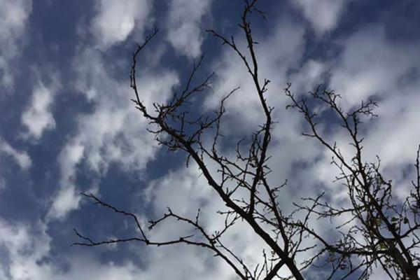 دمای هوای کشور از شنبه شب کاهش می یابد