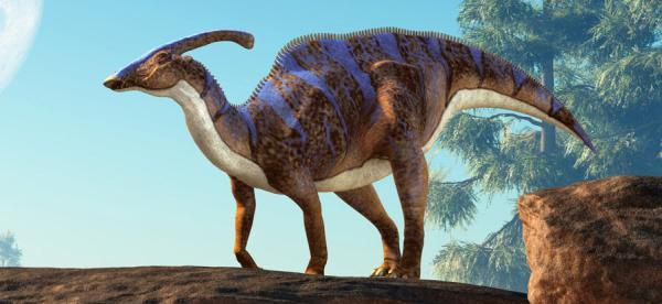 محققان مومیایی دایناسور هادروسور نادری پیدا نموده اند که حتی قسمت هایی از پوست آن هم فسیل شده است