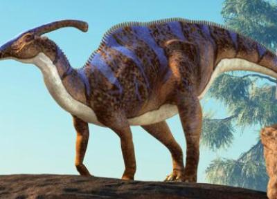 محققان مومیایی دایناسور هادروسور نادری پیدا نموده اند که حتی قسمت هایی از پوست آن هم فسیل شده است