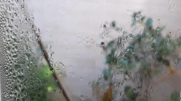 نم هوا در آبادان و خرمشهر به 100 درصد رسید