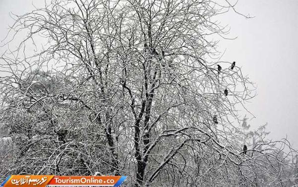 در این 9 استان کولاک می شود ، هشدار نفوذ سامانه بارشی به کشور در این 9 استان کولاک می گردد ، هشدار نفوذ سامانه بارشی به کشور