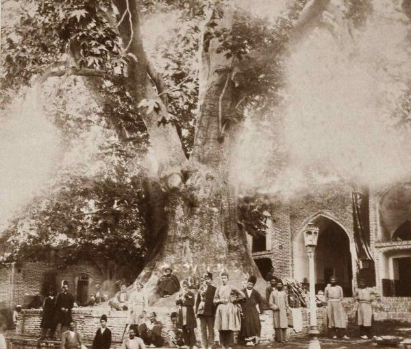 داستان جالب پیرمردی که داخل چنار امامزاده صالح کفاشی داشت داستان جالب پیرمردی که داخل چنار امامزاده صالح کفاشی داشت ، عجیب ترین کفاش و قهوه چی تهران را بشناسید