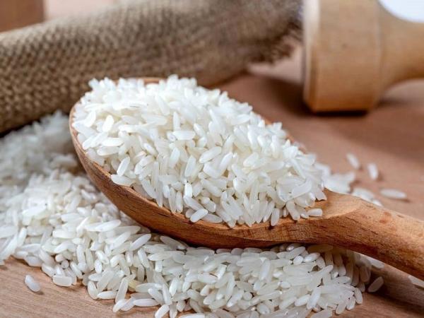 تفاوت برنج کشت اول و دوم ایرانی ، کدام برنج بهتر است؟