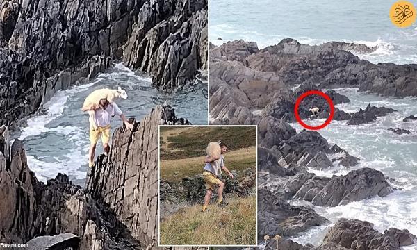 نجات یک گوسفند گرفتار از روی صخره ها